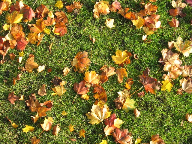 fall lawn care in sioux city iowa
