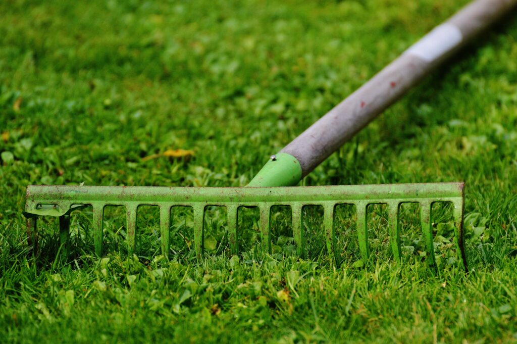 step on a rake  BLOGGING IS LIVING