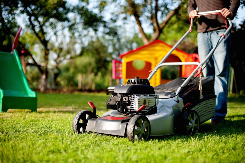 Year Long Lawn Care plans