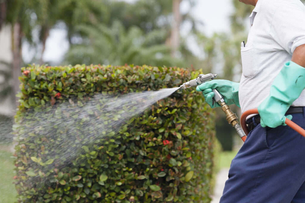 When It Comes to Grub Control, Timing is Everything - Jay-Lan Lawn Care