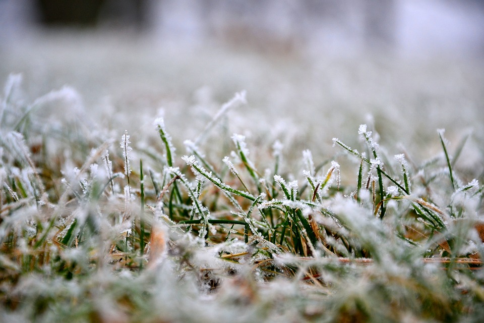 winterizing your lawn