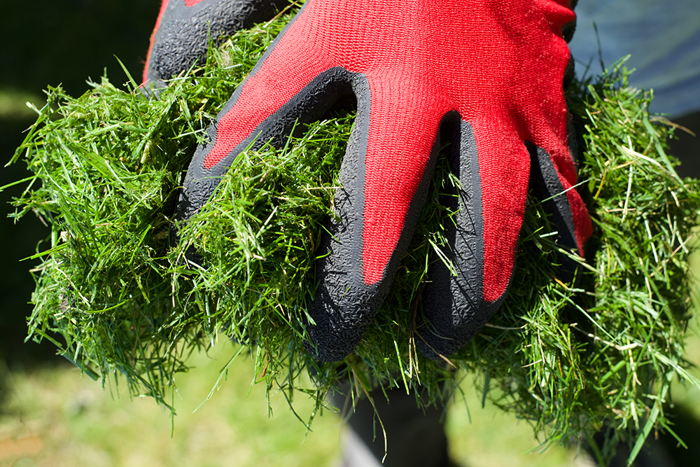 recycling grass clippings