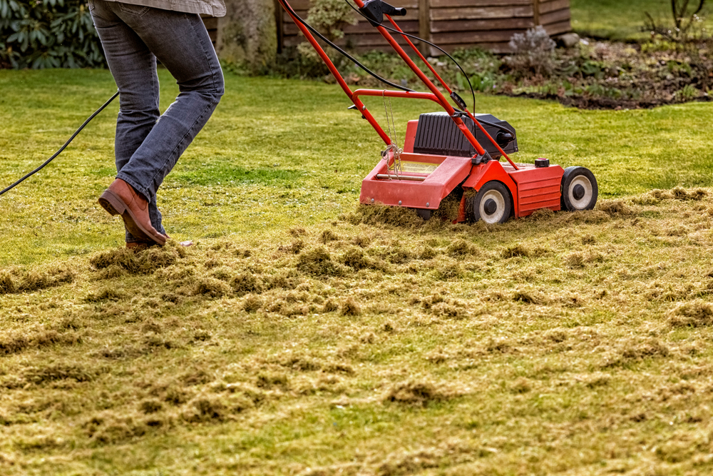 Thatching rake for lawn mower sale