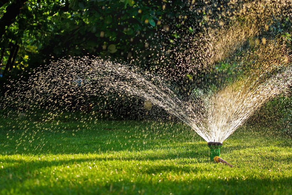 how to properly water your lawn