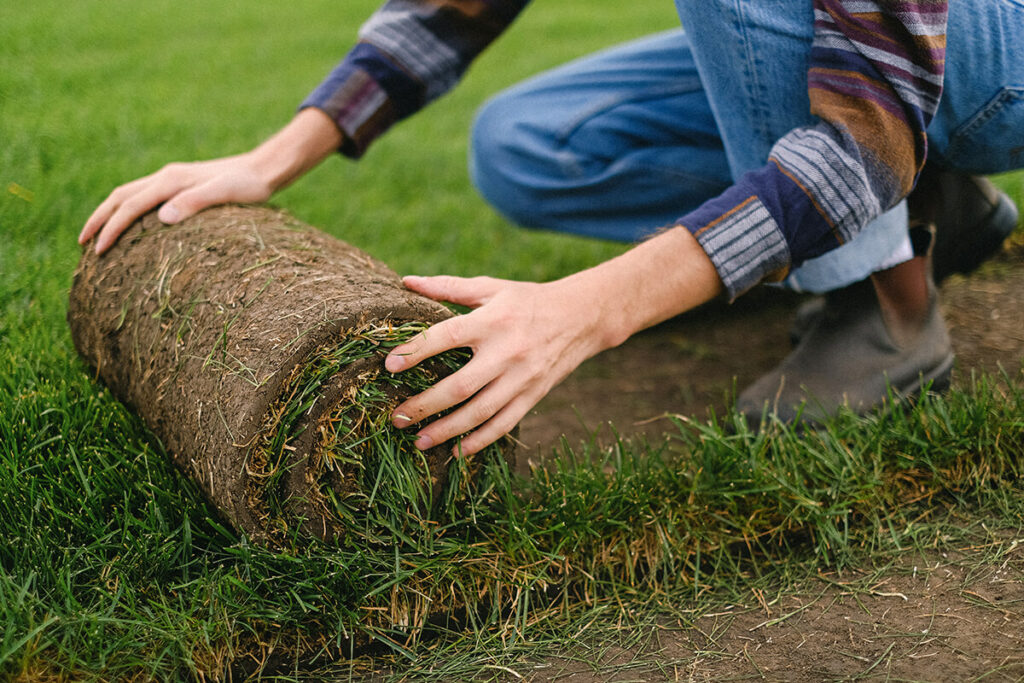 fescue sod installation in sioux city, iowa