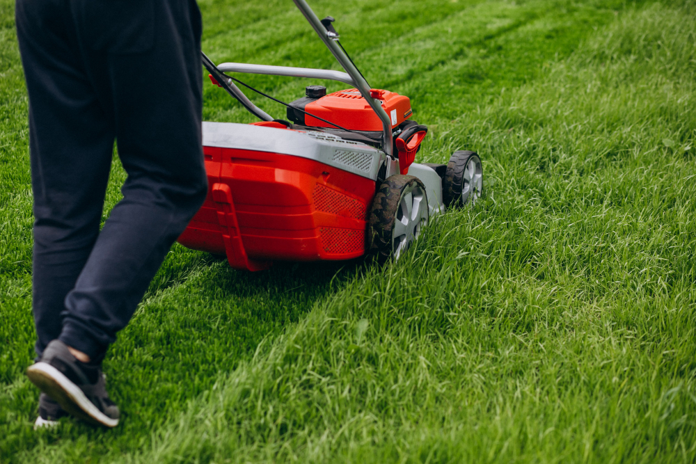 man cutting grass with lawn mower