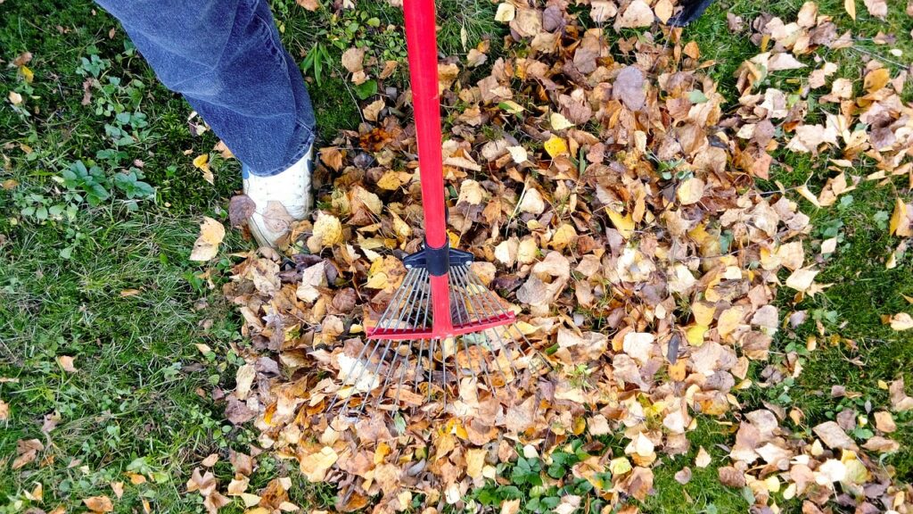 When It Comes to Grub Control, Timing is Everything - Jay-Lan Lawn Care