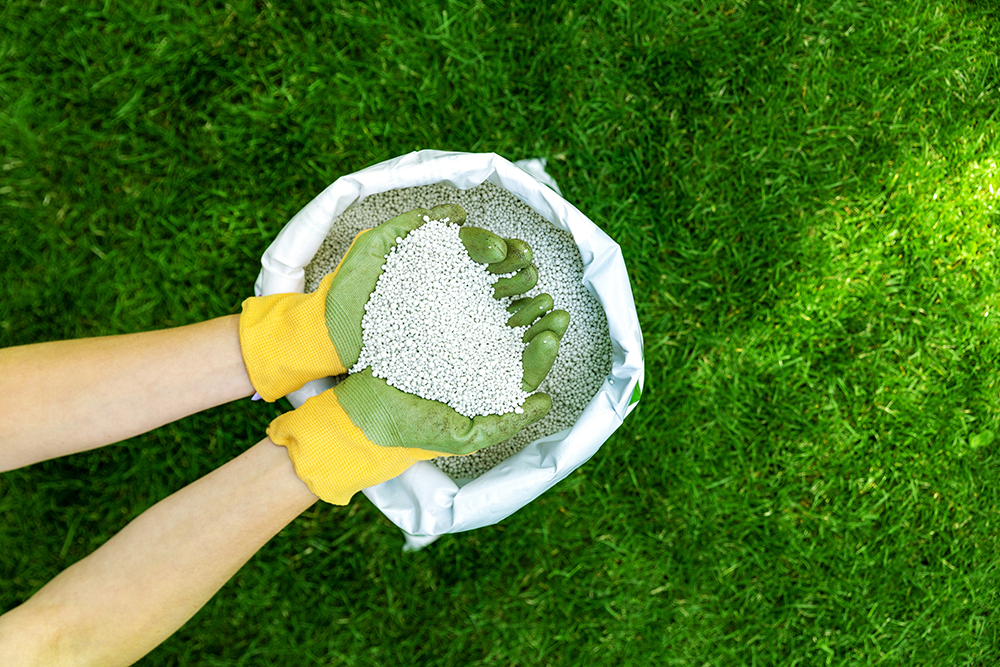 person holding fertilizer in hands wearing gloves