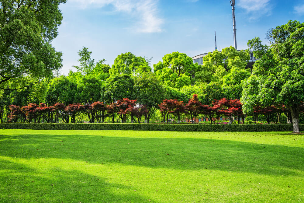 green lawn in sioux falls park